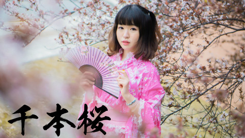 【抗糖化V】千本樱【樱花下~】